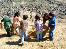 Hopi Children Plant Fruit Trees