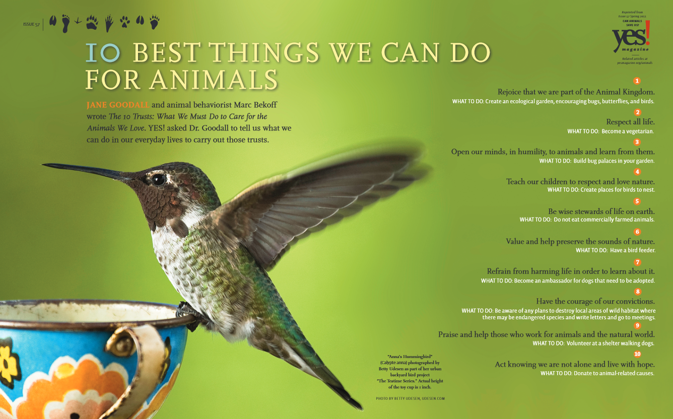 10 Best Things We Can Do for Animals Poster