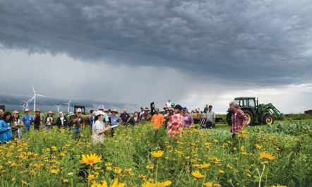 A summer 2019 demonstration for the Practical Farmers of Iowa was held at Paul and Karen Mugge’s organic row-crop farm. They showed how to install a beneficial prairie insect habitat. Photo by Practical Farmers of Iowa.