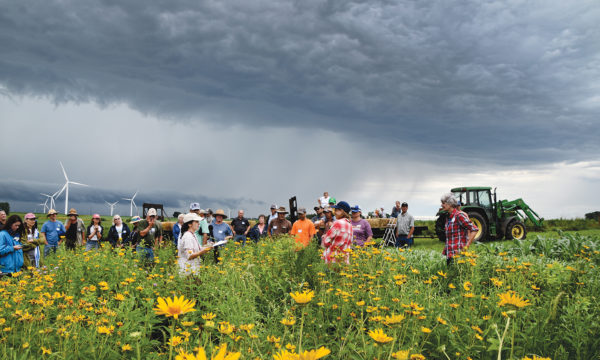 A summer 2019 demonstration for the Practical Farmers of Iowa was held at Paul and Karen Mugge’s organic row-crop farm. They showed how to install a beneficial prairie insect habitat. Photo by Practical Farmers of Iowa.