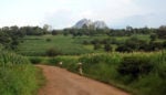 Big Ag and the Small-Scale African Farmer