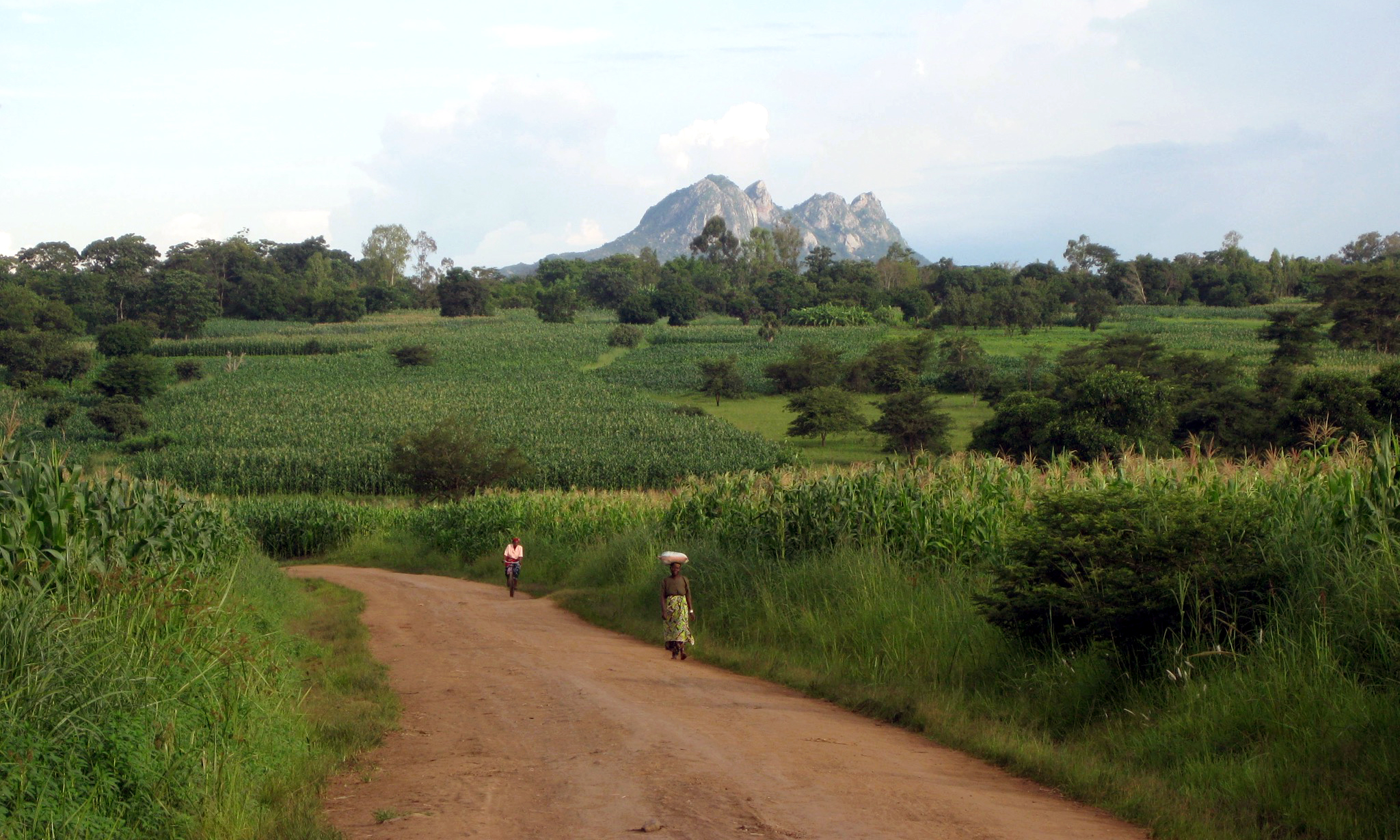 Big Ag and the Small-Scale African Farmer