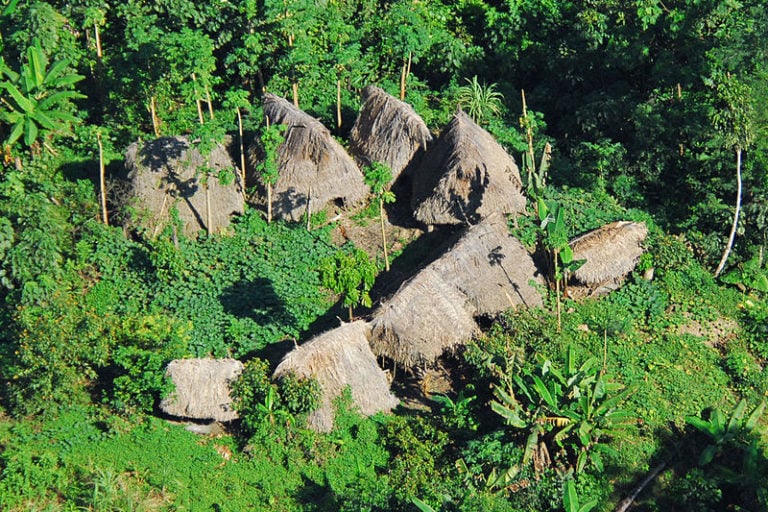 Uncontacted Tribe In Brazilian Jungle Uncontacted Tribe In Brazilian Jungle