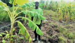 How Zimbabweans Welcomed Climate Migrants