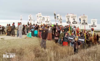 DN-DAPL