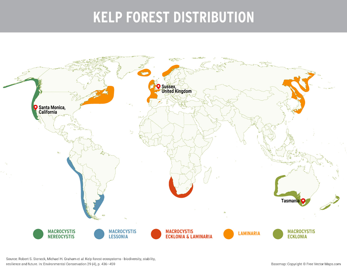 What Kelp Forests Can Do for the Climate Yes! Magazine