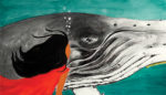 In “The Whale Child,” Environmental Lessons from the Deep