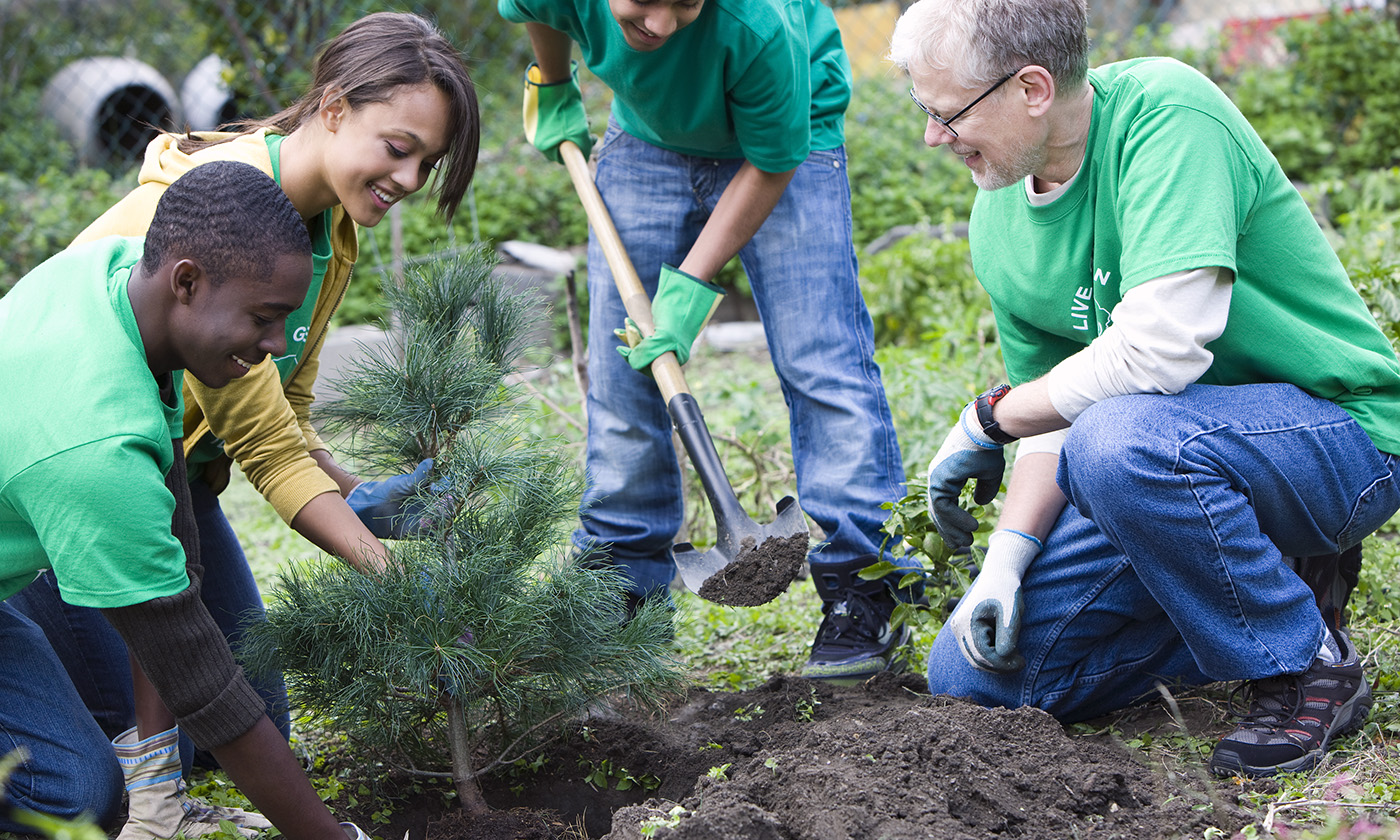 Join West Hartford's Tree Community in 2024 | Troutbrook 1 Trout Brook Arborist - Landscaping & Tree Services The Best Tree Services in West Hartford CT - Certified Arborists & Landscaping