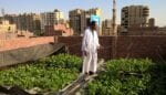 Cooler, Cleaner Megacities, One Rooftop Garden at a Time