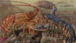Lobster Gangs and Debunking “The Tragedy of the Commons”