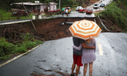 Survivors overlook a section of a collapsed road