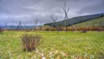 Chasing Liberty Along the Nez Perce Trail