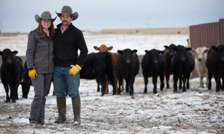 Kelsey Scott and Monte Scott pose together in front of a herd of cattle.