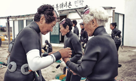 Korean women divers, known as haenyeo, gear up with chest weights (to aid diving), an L-shaped weeding hoe, and a net attached to a flotation device. A wetsuit, goggles, and gloves allow haenyeo divers to stay in the water for between five and six hours, even during the wintertime. Two haenyeo are in central focus in the frame, with a black-haired woman helping a white-haired woman put on gloves.