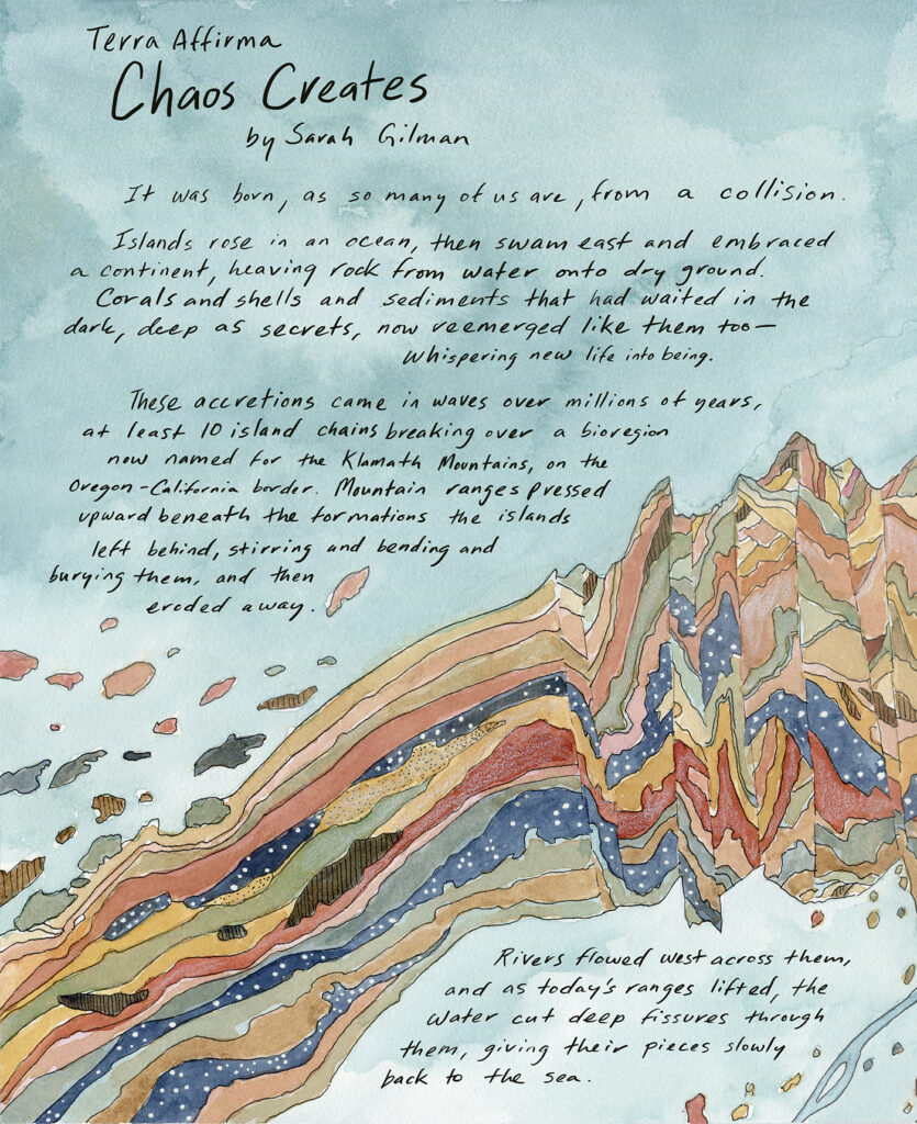 An illustrated panel features a blue background with stylized, stratified mountains in banded shades of brown, red, blue and green. Handwritten text reads: Terra Affirma: Chaos Creates by Sarah Gilman.
It was born, as so many of us are, from a collision.
Islands rose in an ocean, then swam east and embraced a continent, heaving rock and seafloor from water onto dry ground. Corals and shells and heavy sediments that had waited in the dark, deep as secrets, now reemerged like them too—whispering new life into being.
These accretions came in waves over millions of years, at least 10 island chains one after the other, breaking over a bioregion now named for the Klamath Mountains, on the Oregon-California border. Mountain ranges pressed upward beneath the formations the islands left behind, stirring and bending and burying them, and then eroded away. Rivers flowed west across them, and as today’s ranges lifted, the water cut deep fissures through them, giving their pieces slowly back to the sea.