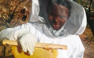 A young beekeeper holds up a honeycomb
