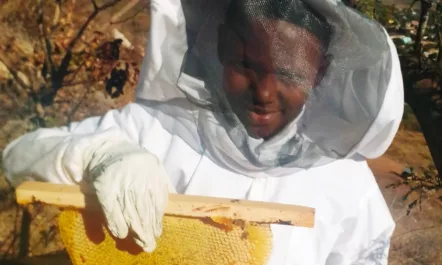 A young beekeeper holds up a honeycomb