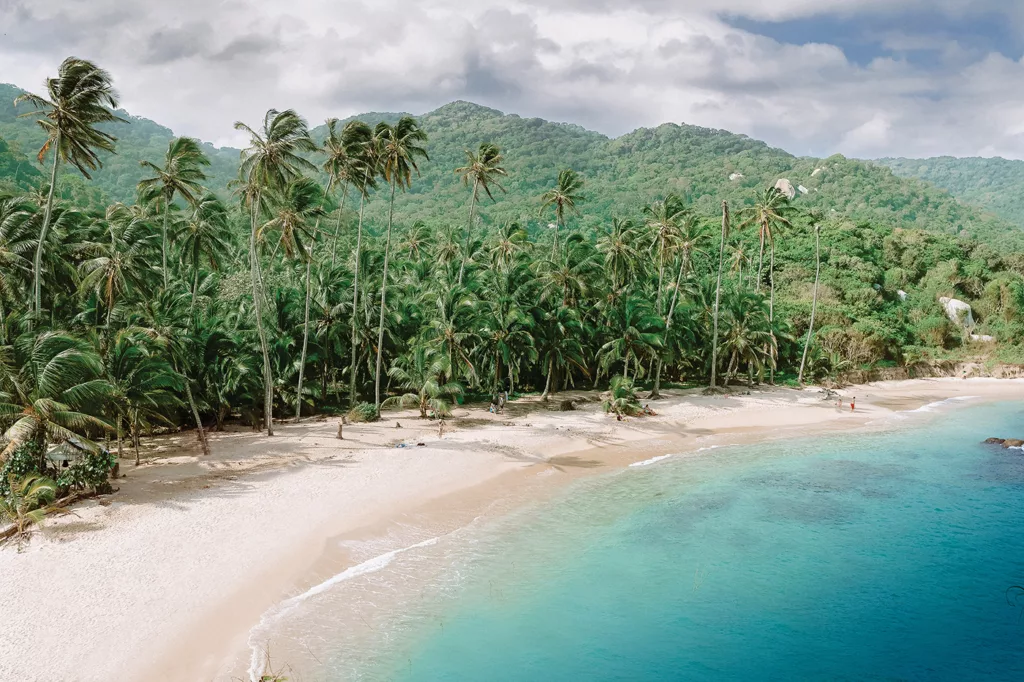 The coastline of Tayrona National Park in Colombia is shown with clear blue water, white sands, and lush green palm trees in the foreground, while the heavily forested Sierra Nevada de Santa Marta mountains rise in the distance.