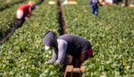 Pushing Back Against Loosening Child Labor Laws