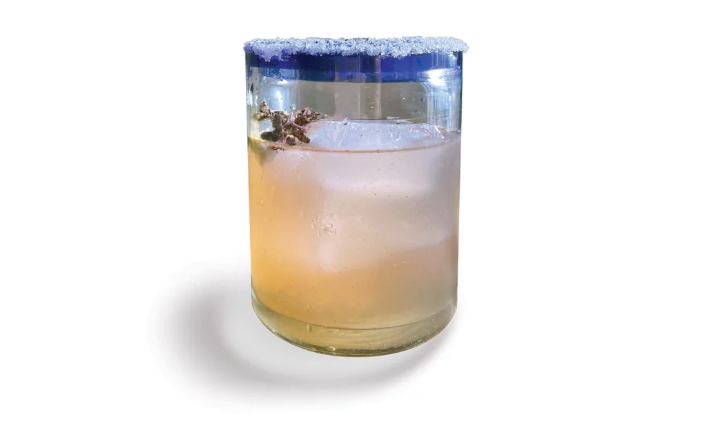 A clear glass with blue trim has salt on its rim, a large ice cube inside, and is filled with a light pink beverage and a dried hibiscus stem.