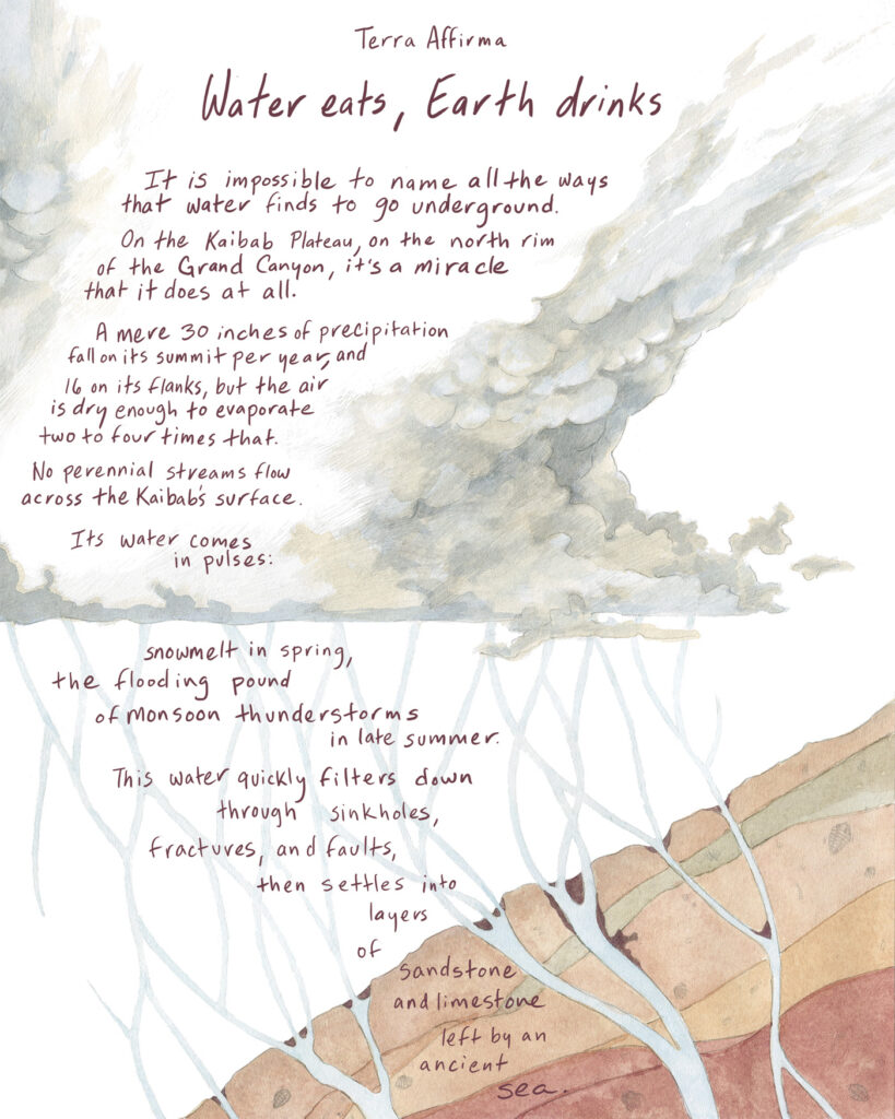An illustration of clouds and rainfall that carves paths into a red and brown landscape features the following text: It is impossible to name all the ways that water finds to go underground.
On the Kaibab Plateau, on the north rim of the Grand Canyon in Arizona, it’s a miracle that it does at all. A mere 30 inches of precipitation fall on the plateau’s summit per year, and 16 on its flanks, but the air is dry enough to evaporate two to four times that.
No perennial streams flow across the Kaibab’s surface. Its water comes in pulses: snowmelt in spring, the flooding pound of monsoon thunderstorms in late summer. This water quickly filters down through sinkholes, fractures, and faults, then settles into layers of sandstone and limestone left by an ancient sea.