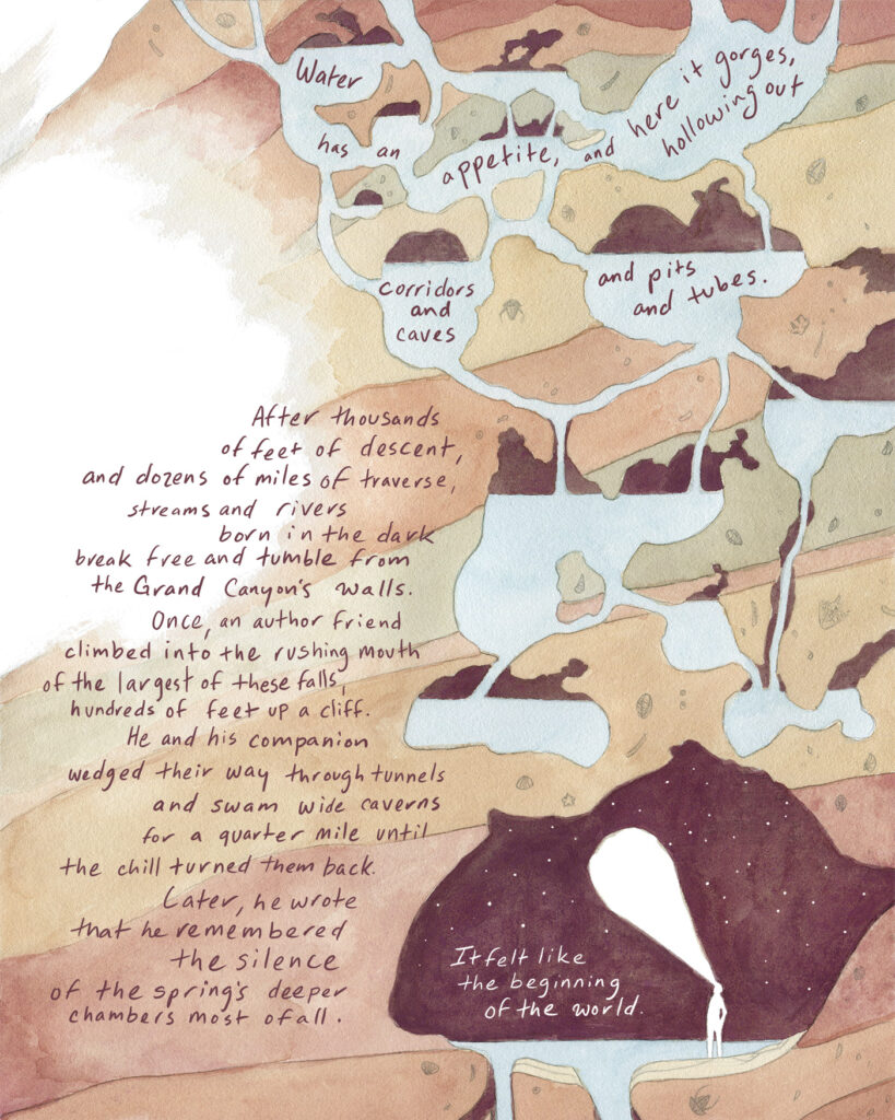 Illustrated water cuts subterranean pathways through red, light green, and tan earth. Handwritten follows those pathways and reads: Water has an appetite, and here, it gorges, hollowing the soluble rock into corridors and caves and pits and tubes. After thousands of feet of descent and dozens of miles of lateral traverse, streams and rivers born in the dark break free and tumble from the Grand Canyon’s walls.

Once, an author friend climbed into the rushing mouth of one of the largest of these falls, hundreds of feet up a cliff. He and his companion wedged their way through tunnels and swam through wide caverns for a quarter mile until the chill turned them back. Later, he wrote that he remembered the silence of the spring’s deeper chambers most of all. It felt like the beginning of the world.