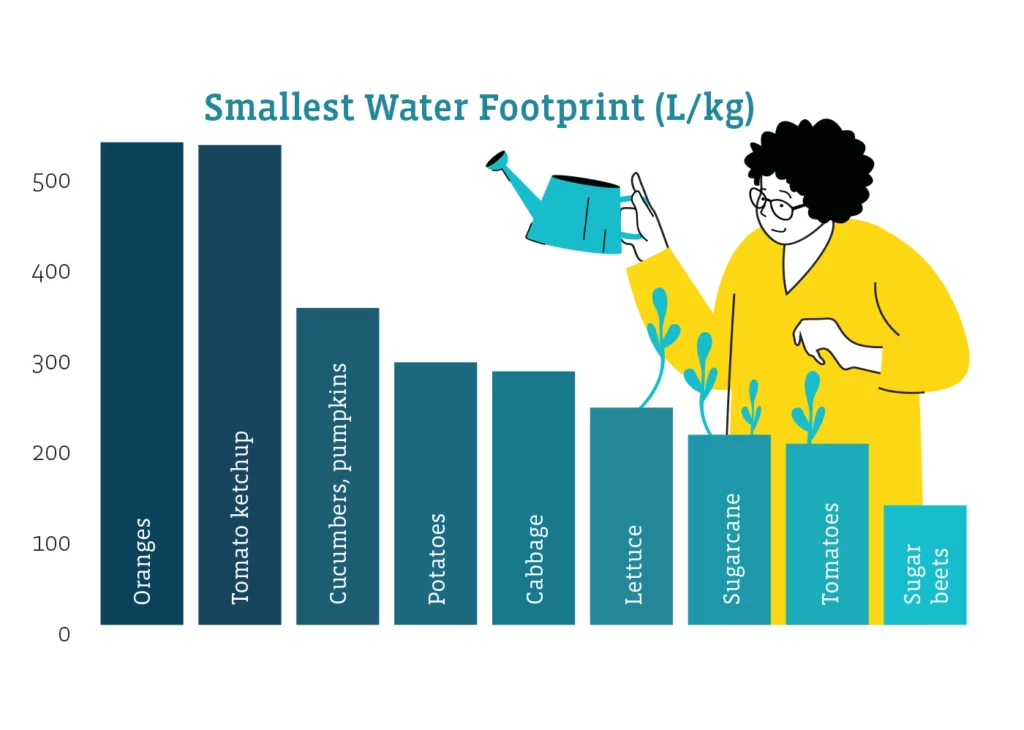 A bar graph conveys the smallest water footprint (in liters per kilogram) of the following agricultural products:
Oranges: 533
Tomato ketchup: 530
Cucumbers, pumpkins: 350
Potatoes: 290
Cabbage: 280
Lettuce: 240
Sugarcane: 210
Tomatoes: 200
Sugar beets: 132
Sources: The World Bank, Water Footprint Network