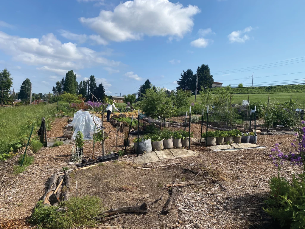 Logs, crates, grow bags, and straw bales are used at Percussion Farms’ 25-by-100-foot education and production plot at the Beacon Food Forest in Seattle, Washington