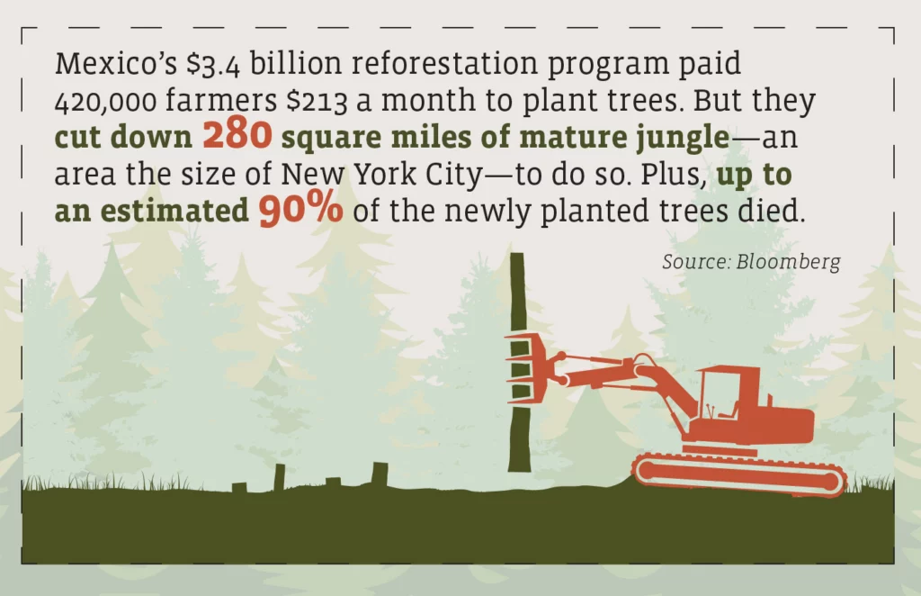 An illustrated bulldozer carries away the final tree of a clear-cut forest. Text above the illustration reads: Mexico's $3.4-billion reforestation program paid 420,000 farmers $213 a month to plant trees. But they cut down 280 square miles of mature jungle—an area the size of New York City—to do so. Plus, up to an estimated 90% of the newly planted trees died. Source: Bloomberg.