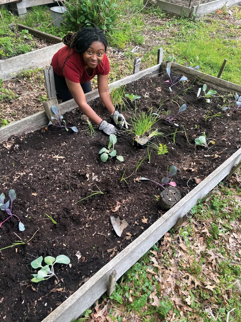 A New Haven resident tends to collard greens seedlings and green onions in a local community garden. 