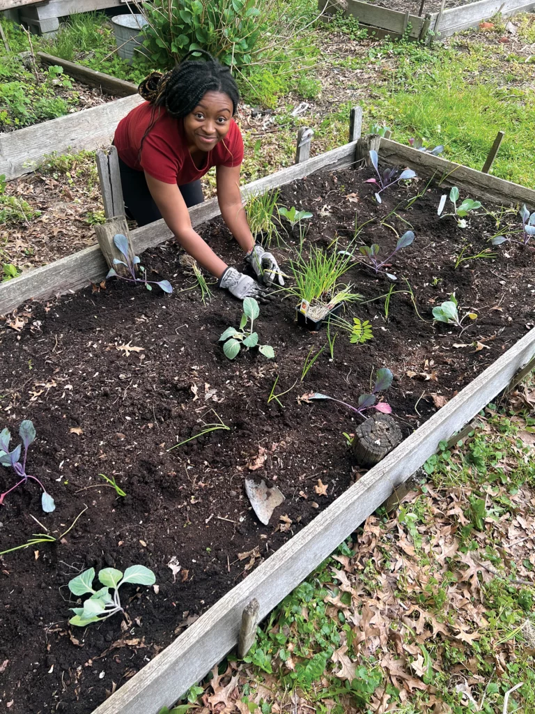 A New Haven resident tends to collard greens seedlings and green onions in a local community garden.