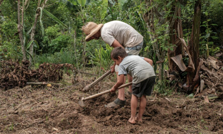 Pedro Dos Santos, a Landless Workers Movement member, tills dirt with a young person on Dos Santos' land in Brazil.