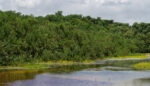 Jamaica’s Climate-Resilient Coastline
