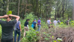 Indigenous Gardens Cultivate Healing