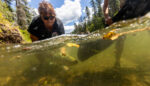 Welcoming Relatives Home: A Ceremony for Salmon