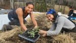 Soil Builds Prosperity From the Ground Up