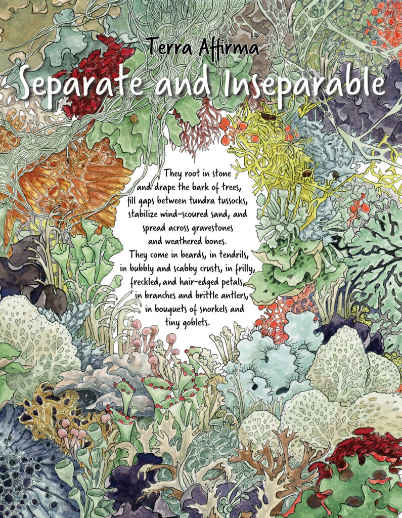 A multicolor illustration depicts various types of lichen, surrounding text that reads: "They root in stone and drape the bark of trees, fill gaps between tundra tussocks, stabilize wind-scoured sand, and spread across the faces of gravestones and weathered bones. They come in beards, in tendrils, in bubbly and scabby crusts, in frilly, freckled, and hair-edged petals, in branches and brittle antlers, in bouquets of snorkels and tiny goblets."