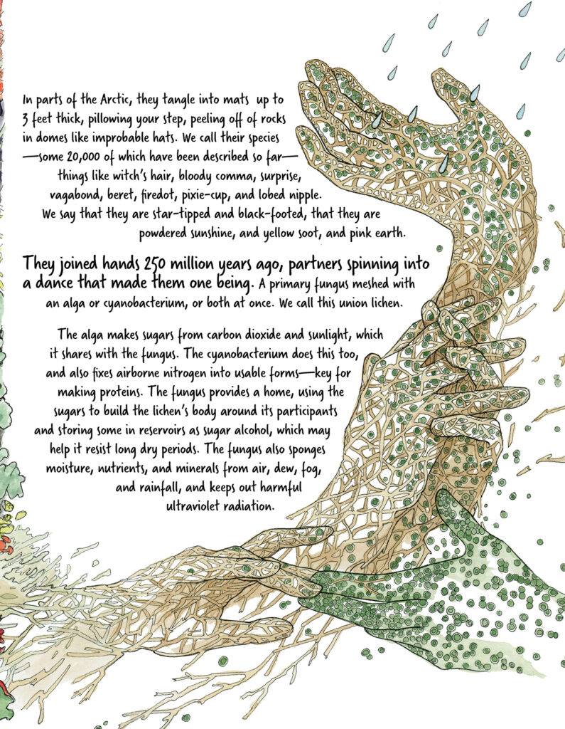 Hands are illustrated filled with roots and green microbes, alongside text reading: "In parts of the Arctic, they tangle into mats up to 3 feet thick, pillowing your step, peeling en masse off of rocks in domes like improbable hats. We call their species—some 20,000 of which have been described so far—things like witch’s hair, bloody comma, surprise, vagabond, beret, firedot, pixie-cup, and lobed nipple. We say that they are star-tipped and black-footed, that they are powdered sunshine, and yellow soot, and pink earth.
 
They joined hands 250 million years ago, partners spinning into a dance that made them one being. A primary fungus meshed with an alga or cyanobacterium, or both at once. We call this union lichen.
 
The alga makes sugars from carbon dioxide and sunlight, which it shares with the fungus. The cyanobacterium does this too, and also fixes airborne nitrogen into usable forms—key for making proteins. The fungus provides a home, using the sugars to build the lichen’s body around its participants and storing some in reservoirs as alcohol, which may help it resist long dry periods. The fungus also sponges moisture, nutrients, and minerals from air, dew, fog, and rainfall, and keeps out harmful ultraviolet radiation."