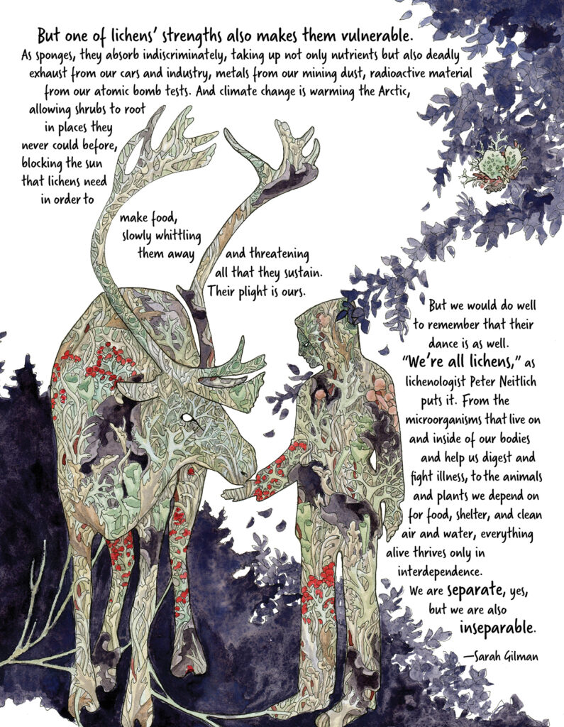An illustrated outline of a moose and human, with lichen filling the outlines. Text surrounding the figures reads: "But one of lichens’ strengths also makes them vulnerable. As sponges, they absorb indiscriminately, taking up not only nutrients but also deadly exhaust from our cars and industry, metals from our mining dust, radioactive material from our atomic bomb tests. And climate change is warming the Arctic, allowing shrubs to root in places they never could before, blocking the sun that lichens need in order to make food, slowly whittling them away and threatening all that they sustain.
 
Their plight is ours. But we would do well to remember that their dance is as well. “We’re all lichens,” as lichenologist Peter Neitlich puts it. From the microorganisms that live on and inside of our bodies and help us digest and fight illness to the animals and plants we depend on for food, shelter, and clean air and water, everything alive thrives only in interdependence. We are separate, yes, but we are also inseparable."