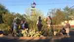 Food Forests Aren’t Just Nourishing. They’re Cool.