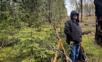 Jesse Jackson stands at the divide between a restored forest and an unrestored section, a stark difference in canopies.