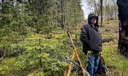 Jesse Jackson stands at the divide between a restored forest and an unrestored section, a stark difference in canopies.