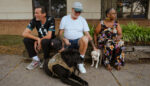 How Pet-Friendly Homeless Shelters Heal