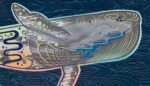 Murmurations: What the Whales Whispered