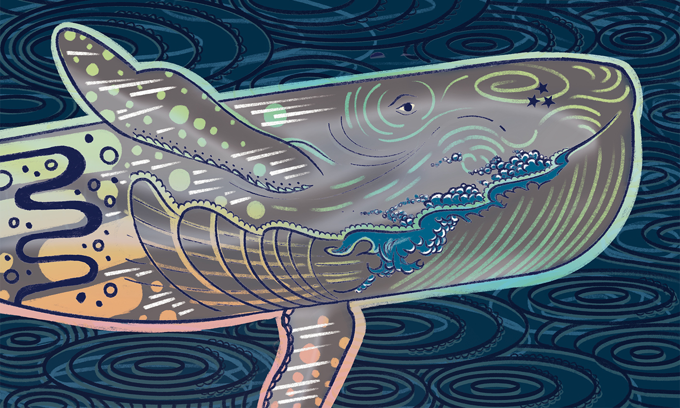 Murmurations: What the Whales Whispered