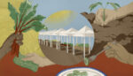 Farmers Markets Can Be a Form of Climate Action. Here’s How.