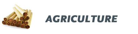 Invisible Hands: Agriculture