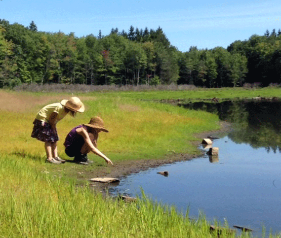 The author's children conduct informal science experiments. Photo by the author.