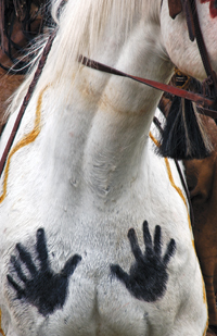 Painted horse photo by Hans Poppe