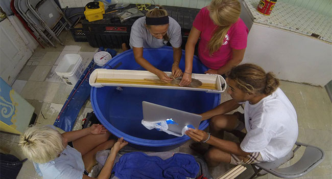 SharkResearchers.jpg
